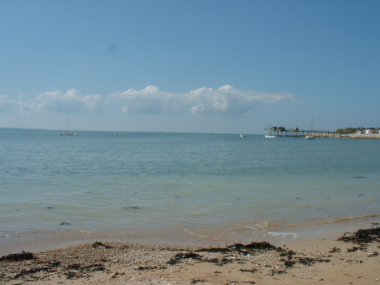 Angoulins (17690), Charente-Maritime, la boucherie Le Bœuf Tricolore d'Angoulins